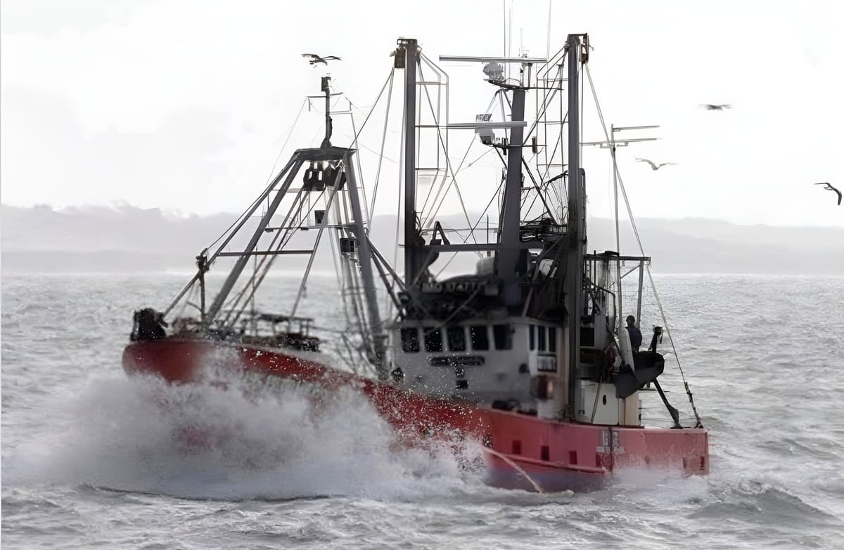 Temporada de Langostino en Áreas Nacionales se Cerrará el 13 de Septiembre