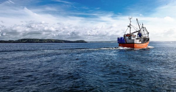 Islas Malvinas impulsa su economía con inversión en pesca y petróleo