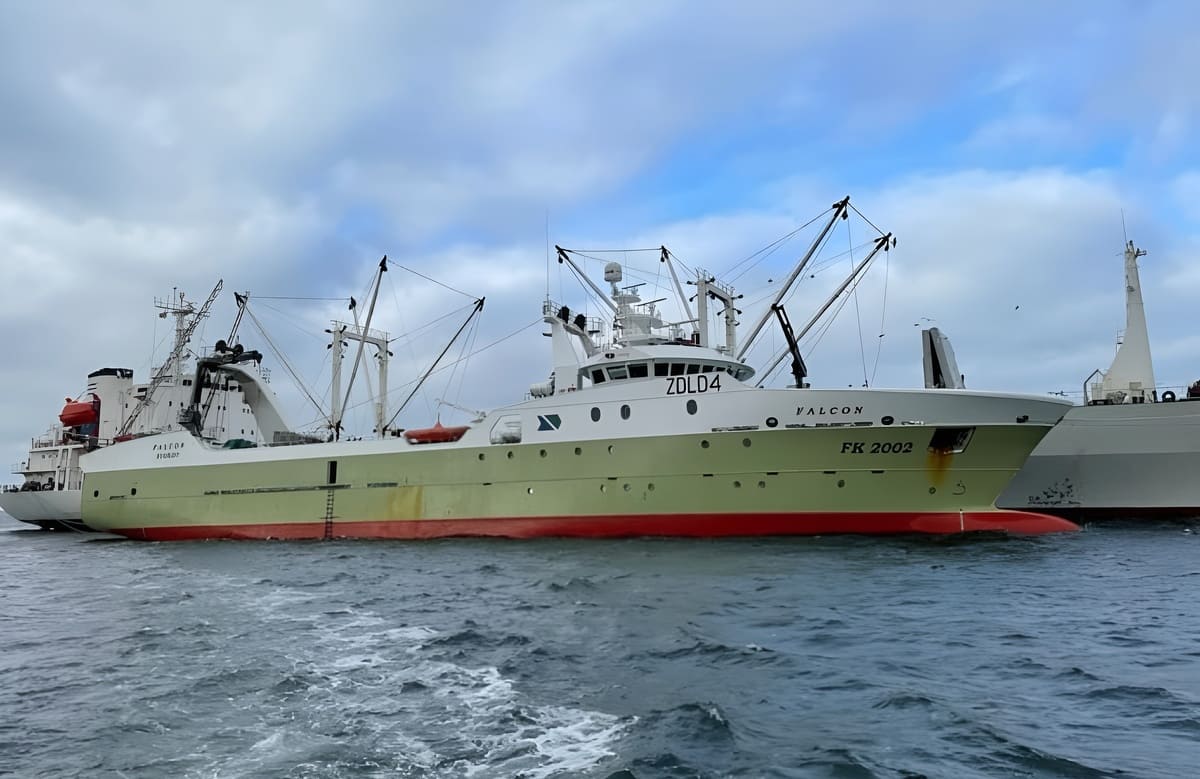 Legislación argentina sanciona a empresas vinculadas a pesca ilegal en Malvinas