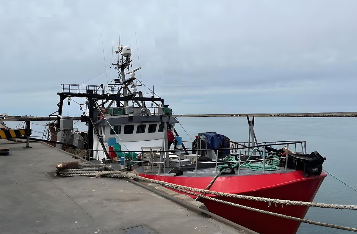 Innovación en pesca: ensayos con red danesa para la captura de merluza común